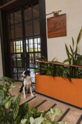 Las Brisas Merida 9 Las Brisas Merida 9