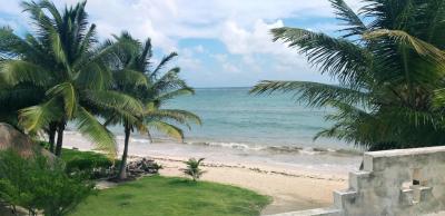Mayan Beach Garden 7 Mayan Beach Garden 7