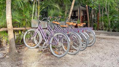 Amaka Calma Tulum 8 Amaka Calma Tulum 8