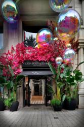 Wilson Boutique Hotel 3 Wilson Boutique Hotel 3