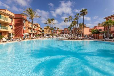 O7 Aloe Corralejo 8 O7 Aloe Corralejo 8