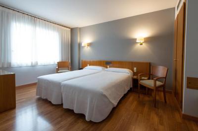 Hotel Borrell Olot 3 Hotel Borrell Olot 3