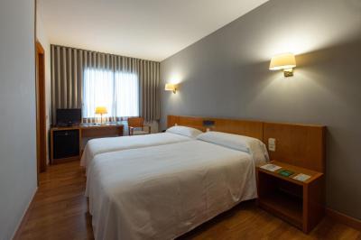 Hotel Borrell Olot 9 Hotel Borrell Olot 9