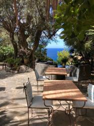 Sa Plana Petit Hotel 8 Sa Plana Petit Hotel 8