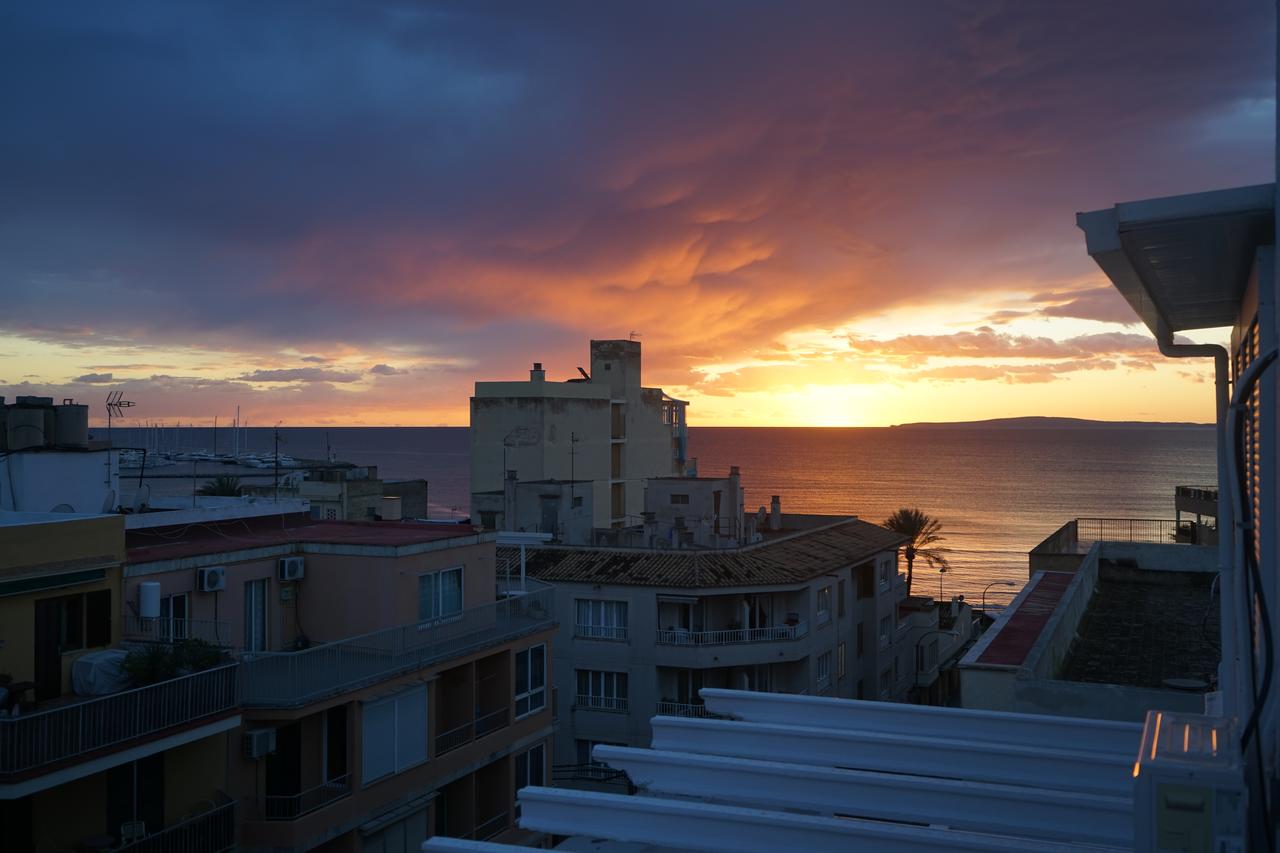 Xapala - El Arenal - Hotel WebSite