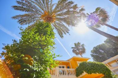 Hotel Cupidor Mallorca 6 Hotel Cupidor Mallorca 6