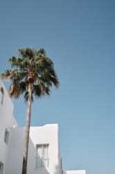 Hotel Prinsotel Alba 10 Hotel Prinsotel Alba 10