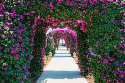 The St. Regis Mardavall Mallorca Resort 10 The St. Regis Mardavall Mallorca Resort 10