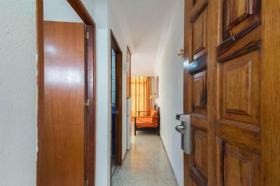 Apartamentos Amazonas 5 Apartamentos Amazonas 5