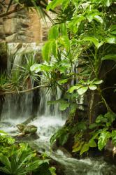 Adrián Hoteles Jardines de Nivaria 5 Adrián Hoteles Jardines de Nivaria 5