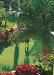 Adrián Hoteles Jardines de Nivaria 4 Adrián Hoteles Jardines de Nivaria 4