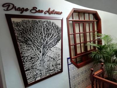 Hotel Drago San Antonio 5 Hotel Drago San Antonio 5