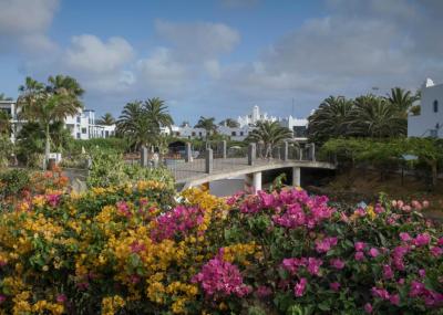 Las Marismas de Corralejo 8 Las Marismas de Corralejo 8