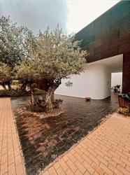 The Lince Ecorkhotel Évora 6 The Lince Ecorkhotel Évora 6