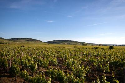 Kyriad Prestige Beaune le Panorama 7 Kyriad Prestige Beaune le Panorama 7