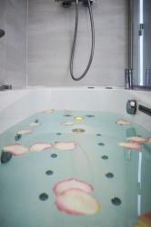Best Western Plus Hotel Carlton Annecy 3 Best Western Plus Hotel Carlton Annecy 3