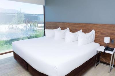 Park Inn by Radisson Los Olivos de Vallenar 9 Park Inn by Radisson Los Olivos de Vallenar 9