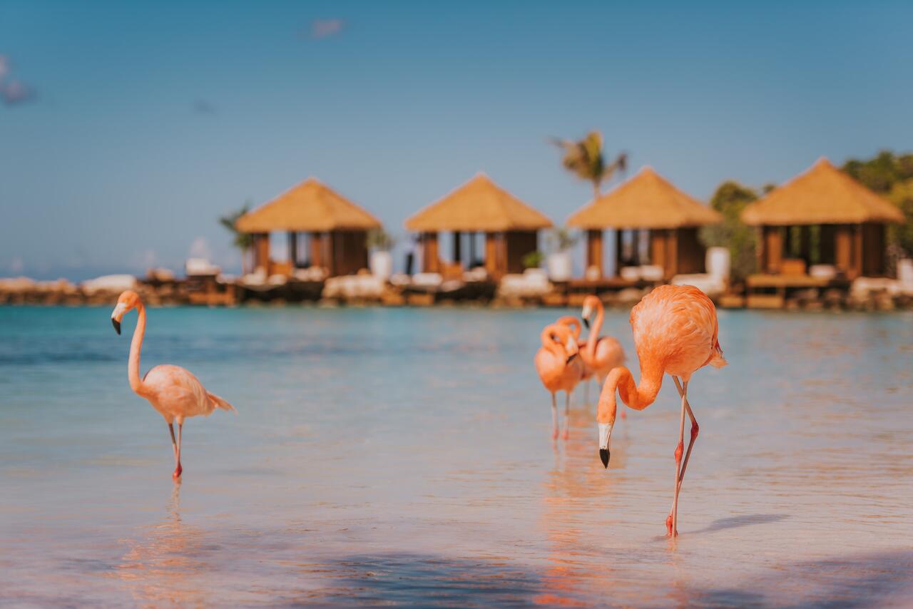 Renaissance Resort and Casino, Oranjestad, Aruba, Netherlands