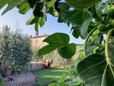 Hotel Monteriggioni 5 Hotel Monteriggioni 5