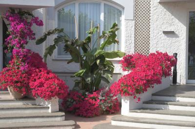 BAJAMAR BEACH HOTEL 2 BAJAMAR BEACH HOTEL 2