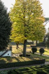 Villa Olmi Firenze 8 Villa Olmi Firenze 8