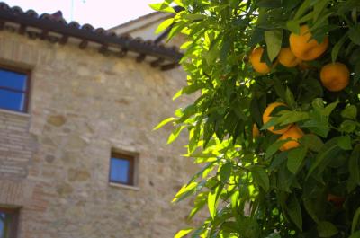 Grand Relais Laurenti 9 Grand Relais Laurenti 9
