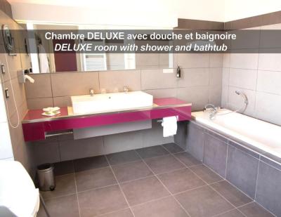 HÔTEL LA FERME DE BOURRAN RODEZ - parking privé gratuit 7 HÔTEL LA FERME DE BOURRAN RODEZ - parking privé gratuit 7