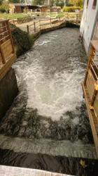 Le Moulin d'Oscar & Spa - Mulhouse Nord 9 Le Moulin d'Oscar & Spa - Mulhouse Nord 9