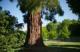 Le Domaine des Roches, Hotel & Spa 6 Thumb