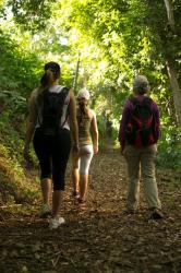 Entremonte Wellness Hotel Spa 8 Entremonte Wellness Hotel Spa 8