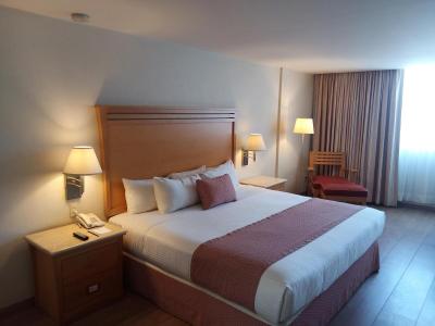 Hotel Palacio Azteca 8 Hotel Palacio Azteca 8
