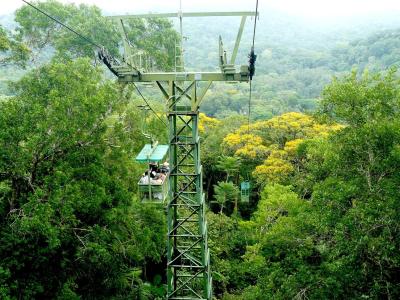 Gamboa Rainforest Reserve 10 Gamboa Rainforest Reserve 10