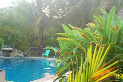Axkan Palenque Hotel 8 Axkan Palenque Hotel 8