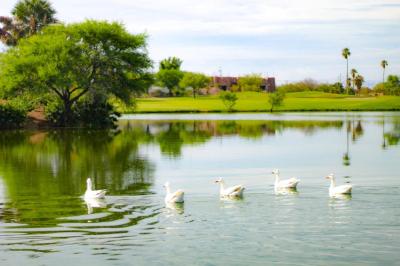 Azul Talavera Country Club 2 Azul Talavera Country Club 2
