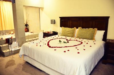 Hotel San Carlos Tequisquiapan 5 Hotel San Carlos Tequisquiapan 5