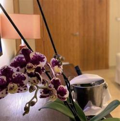 Breathless Punta Cana Resort & Spa - Adults Only - All Inclusive 8 Breathless Punta Cana Resort & Spa - Adults Only - All Inclusive 8