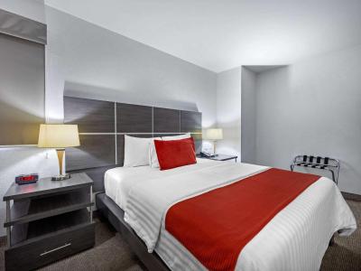 Hotel BeWow Querétaro 7 Hotel BeWow Querétaro 7