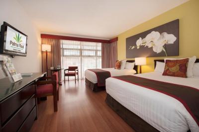 Hotel Palma Real 8 Hotel Palma Real 8